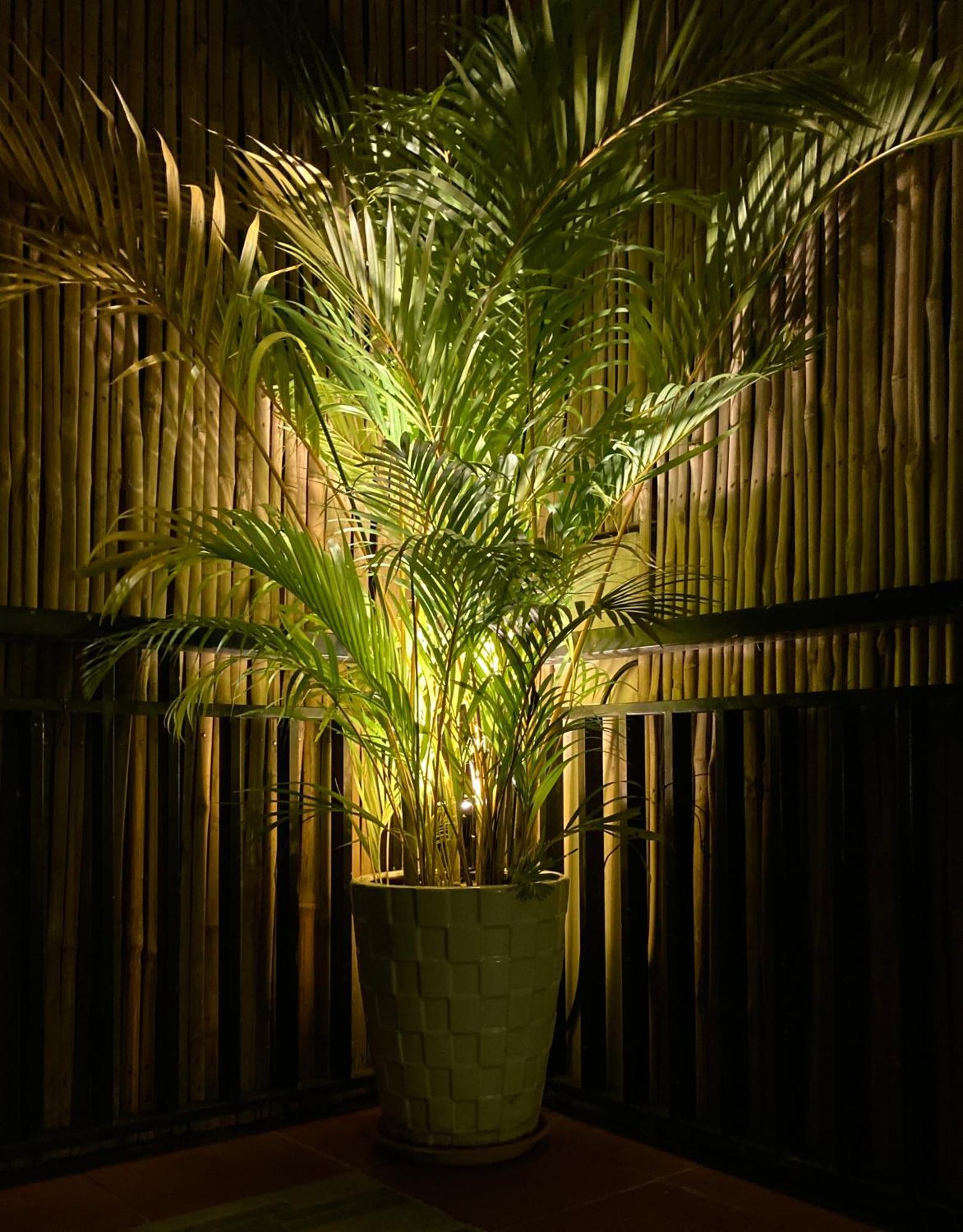 Lotus Haven Villa シェムリアップ エクステリア 写真